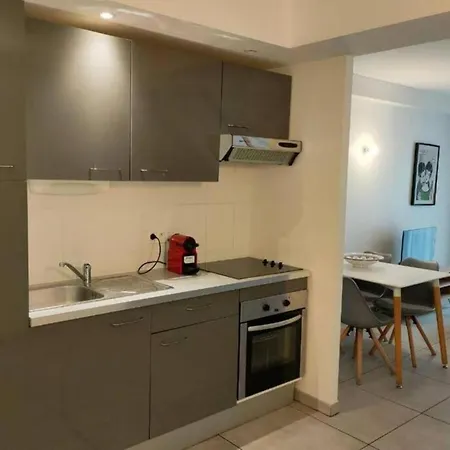 203 Duplex Jeanne D'arc דירה טולוז